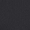 black color swatch